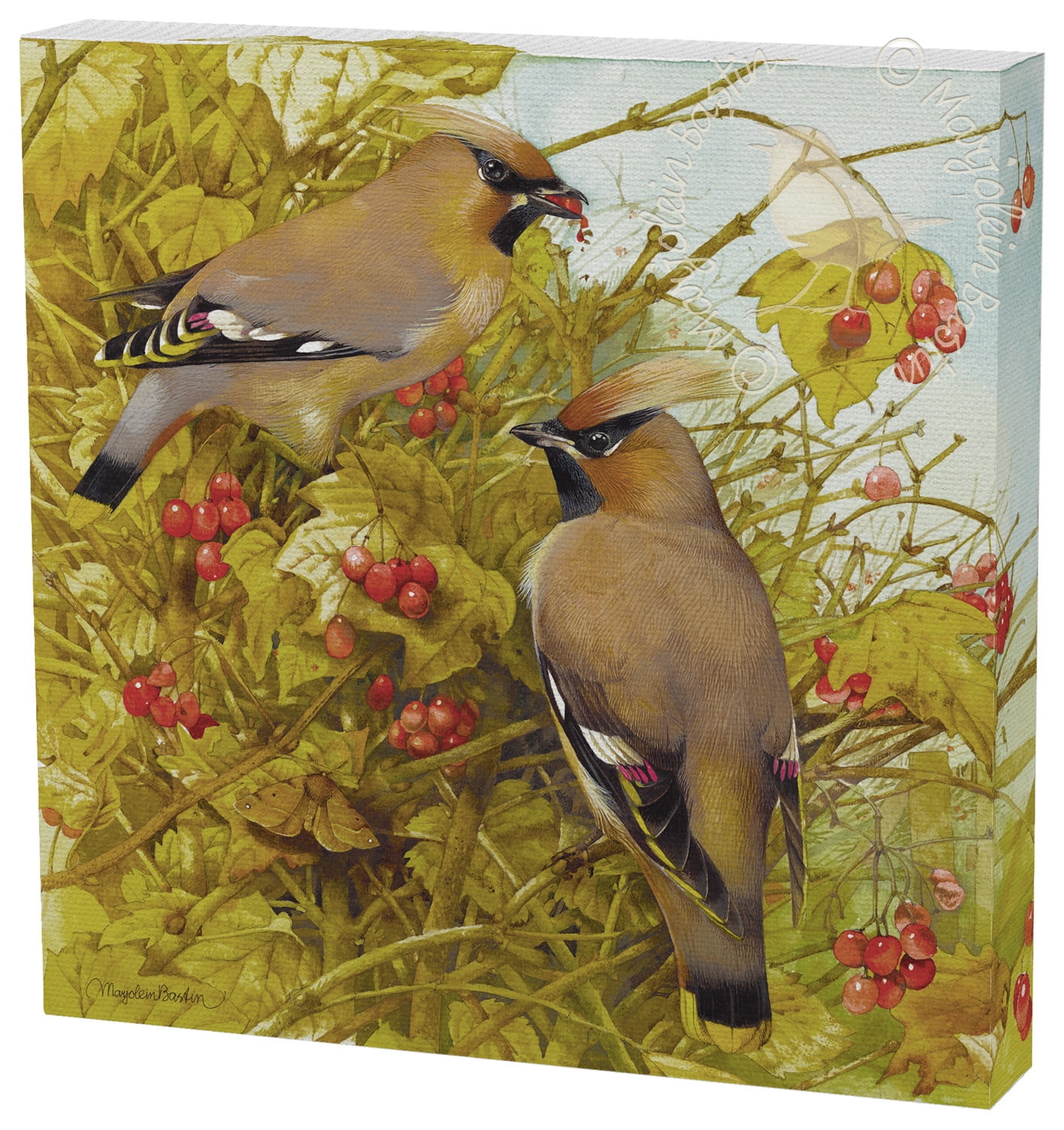 Marjolein Bastin Sweet Summer 12 x 12 Gallery Wrapped Canvas