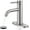 Brushed Nickel, variant on Brushed Nickel Bathroom Faucet, Single Hole Bathroom Faucet with Pop-up Drain and Flexible Hoses, Single Handle for Sink, Vanity, RV, Modern Farmhouse