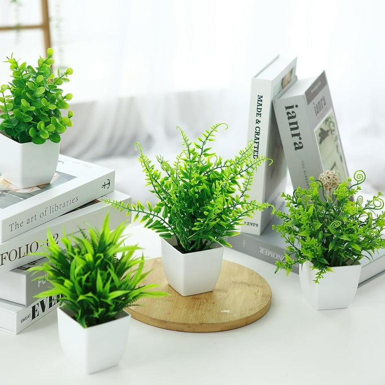 terrarium kits with plants Plant Terrarium Bundle - Terrarium Duo - Self-Sustaining Miniature Gardens  - DIY terrarium kit