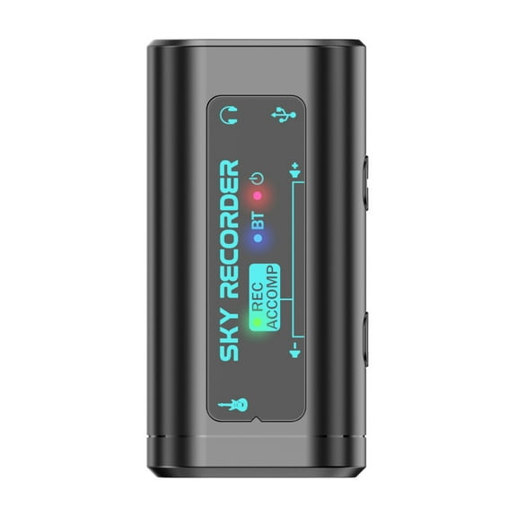 Digital Voice Recorder With Transcription and Playback Voice Device Sound Device Musical Instrument Recorder