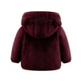 thumbnail image 3 of GaThRRgYP Boys Hooded Puffer Jacket,Fleece Jackets for Toddlers Girls Boys Fleece Hoody Jackets Kids Zip Up Outerwear Coat Toddler Kids Jacket Wine 12-18 Months, 3 of 6