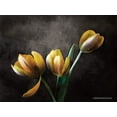 thumbnail image 2 of Bluebird Barn 32x25 White Modern Wood Framed Museum Art Print Titled - Contemporary Floral Tulips, 2 of 4