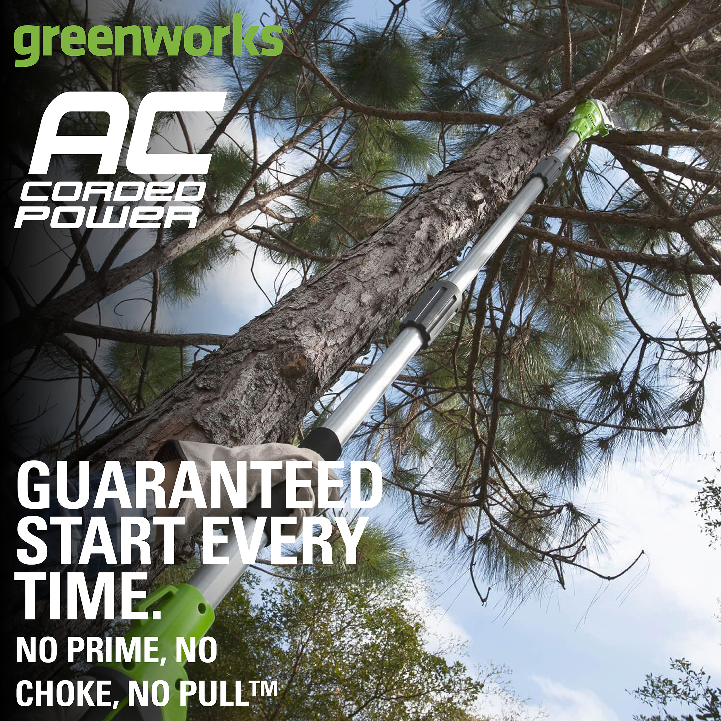Greenworks 65 Amp 8-Inch Corded Electric Pole Saw, 20192 - image 3 of 10