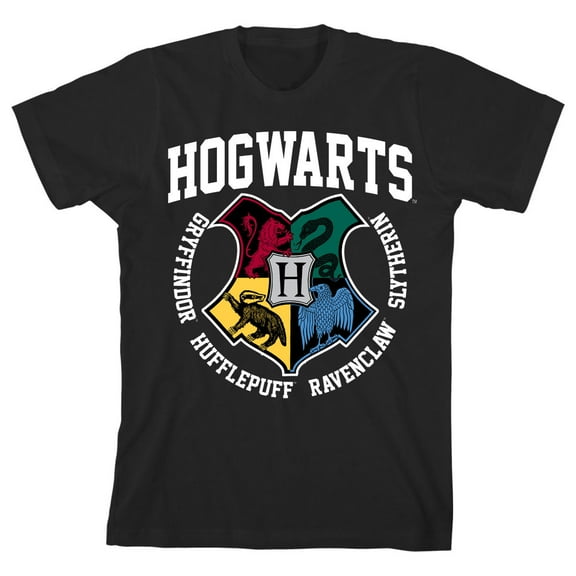 Harry Potter Hogwarts Houses Pride Boy's Black T-shirt-Medium