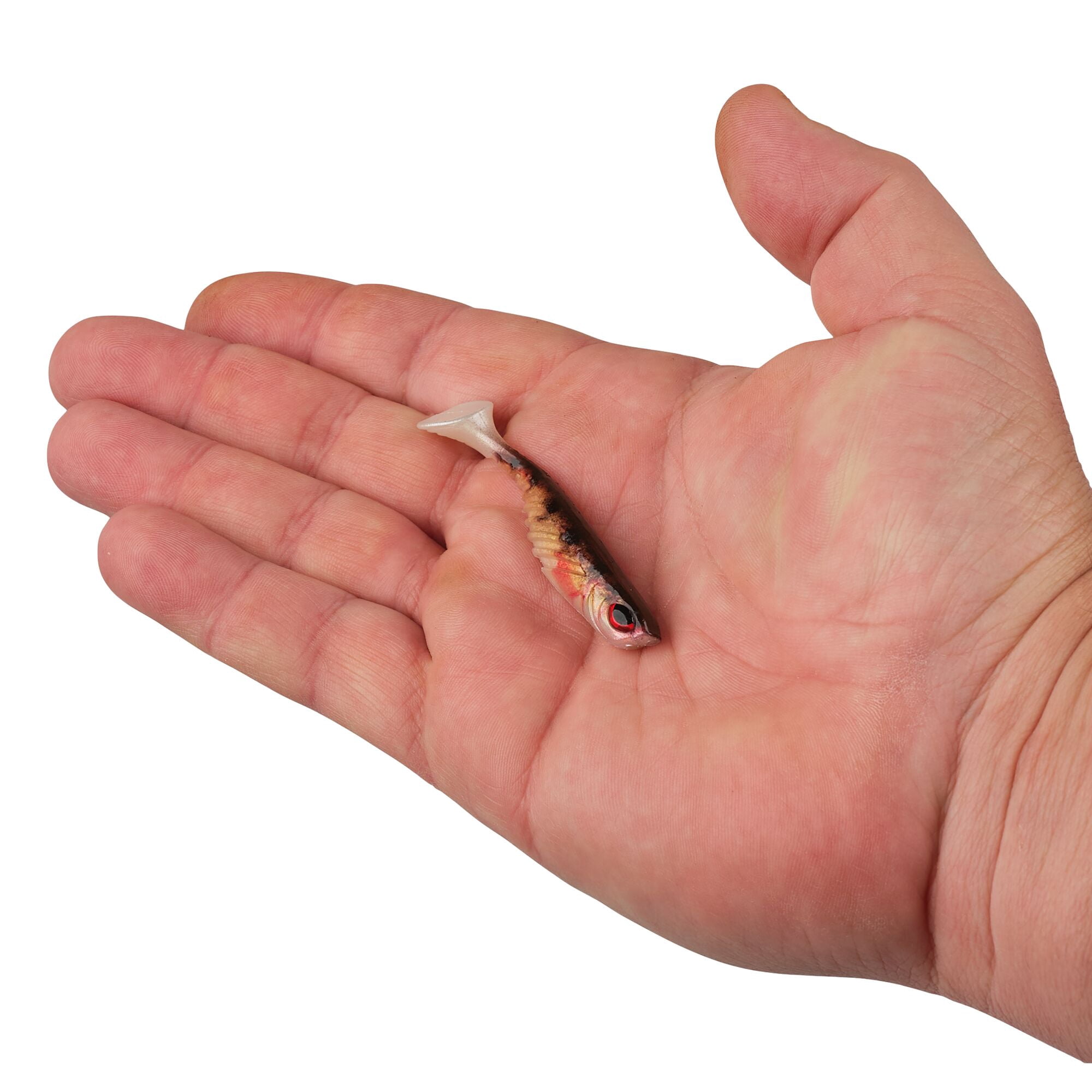 Berkley PowerBait® Ripple Shad, 3 in, Swimbaits, HD Yellow Perch (10 Count)