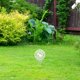 thumbnail image 5 of No hay letrero de patio de caca Señal de acrílico No se permite el perro Poop Spike Garden Stake, 5 of 5