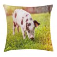 thumbnail image 1 of Farm Animal Throw Pillow Cushion Cover, Photo of Lovely Little Baby Pig with Spots Walking on Grass Blurred Backdrop, Decorative Square Accent Pillow Case, 20" X 20", Multicolor, by Ambesonne, 1 of 2