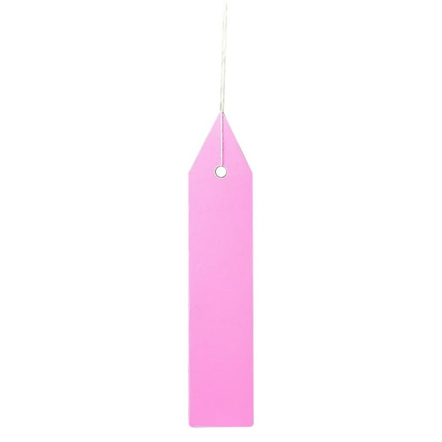 Huluwajiuyeye The Garden Marker Space Cards Pin Banner Display Long 100pcs Labels Garden Labels Flower Gardening Labels Ground Labels