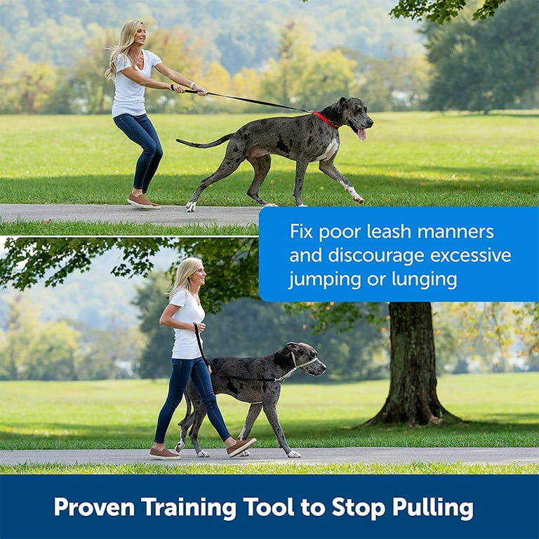 Collar to top stop pulling