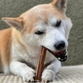thumbnail image 6 of Pupford Bully Stick Beef Bully Sticks for Dogs, 20 Pack, 6 of 6