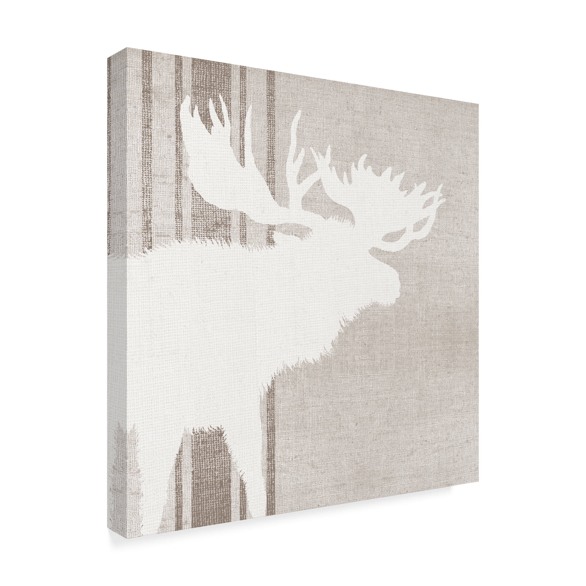 Trademark Fine Art 'Woodland Animal III' Canvas Art by Wild Apple Portfolio