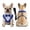 H7-Dark Blue-L, variant on Dog Tuxedo for Large Dogs Adjustable Formal Bowtie Bandana Collar Suit with Soft Breathable Fabric Wedding Grooming Birthday Party Costume for Boy Dog,Beige-XL