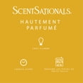 thumbnail image 3 of Cubes de cire parfumée ScentSationals - Honeycomb Glow, 3 of 5