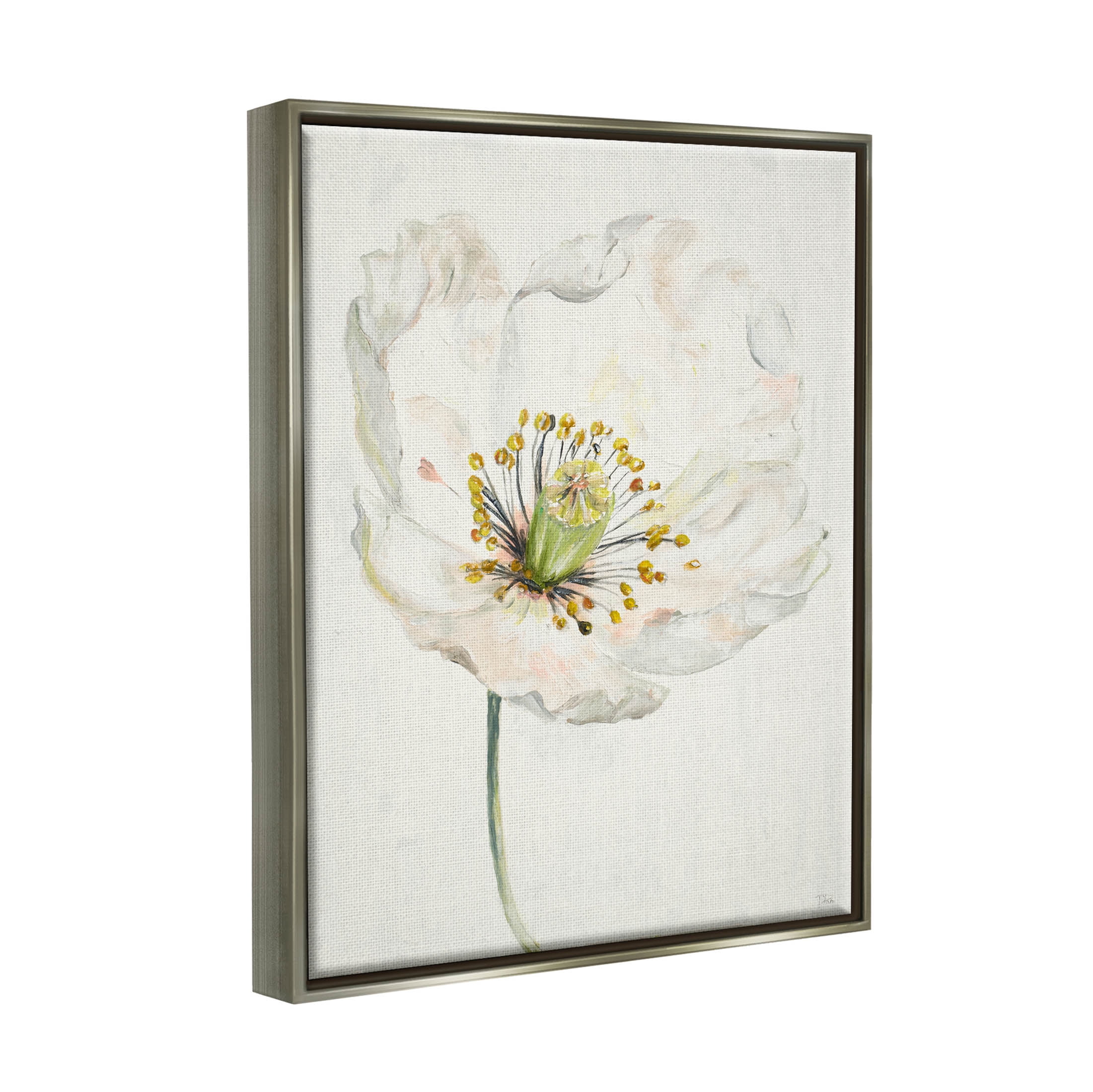 Stupell Industries Delicate Beauty White Flower Graphic Art Luster Gray Floating Framed Canvas Print Wall Art, Design by Patricia Pinto
