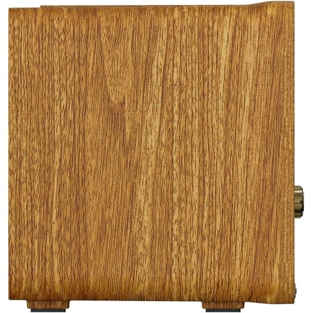 Brown Sinister Speaker - Ghost Hunting Spirit Box Radio | Bluetooth, AM & FM Radio | USB-C Rechargeable | Halloween Gadget | Gothic Home Decor | Spooky Gift