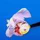 thumbnail image 1 of Entrenamiento de peces Betta, juguete Betta, juguete de activo, juguetes interactivos acuarios decoración suministros Betta,, 1 of 10