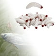 thumbnail image 4 of Señuelos de Plástico shamjiam Cebo de Lubina 50 Piezas, 4 of 8