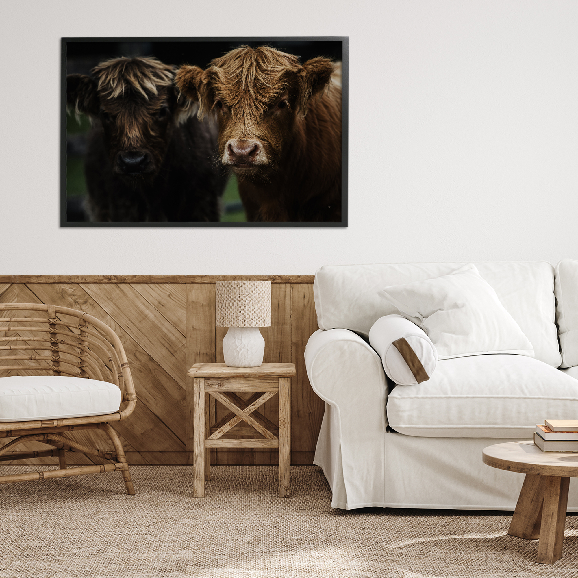 Cow Faces Highland Pair Black Framed Giclee Art, design by Amy Carroll