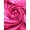 Fuschia, variant on Brocade Roses Satin, 60" Wide, Sells by the Yard from Sal Tex Fabrics, Fuchsia