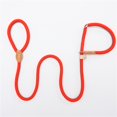 thumbnail image 1 of Dog Training P Rope Explosion proof Punch P Chain Scalable Dog Walking Rope Integrated Dog Rope Dog Traction Rope, 1 of 3