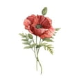 thumbnail image 2 of Robinson, Carol 20x24 Black Ornate Wood Framed with Double Matting Museum Art Print Titled - Scarlet Poppy, 2 of 4