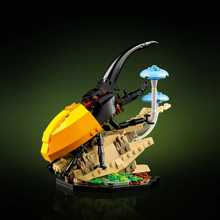 LEGO Ideas The Insect Collection, Fun Gift for Nature Lovers, with  Life-Size Blue Morpho Butterfly, Hercules Beetle and Chinese Mantis Display  Models, Bug Building Set and Nature Décor, 21342 