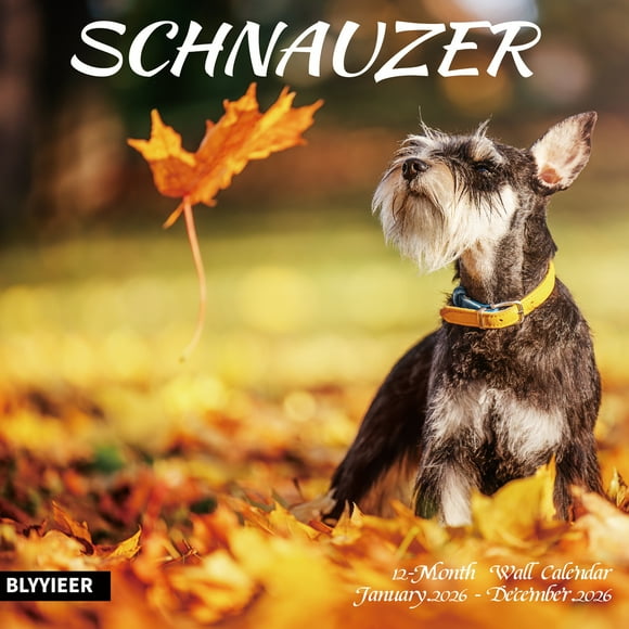 Calendario de Pared 2025-2026, Calendario de Pared Schnauzer, Abierto de 12" x 24", Organizador de Calendario Familiar con Imágenes de Schnauzer, para los Amantes de los Perros