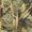 Camo Print, variant on Chaqlin Sunflower Print Kids Blouse Shirt with Pocket Oversize Plus Size Girls Hoodies for School for Gym Size 5-6