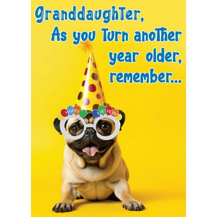 Granddaughter, As You Turn Another Year Older, Remember Anything's Paws-ible No Matter Your Age! Happy Birthday Card