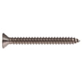 thumbnail image 1 of Tornillos Phillips de acero inoxidable Hillman para chapa metálica de cabeza plana, 35,6 cm x 5 cm, paquete de 100, 1 of 1