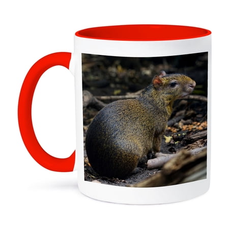 3dRose, Central American Agouti, Costa Rica - SA22 AMR0002 - Andres Morya Hinojosa, 11oz Two-Tone Red Mug