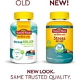 thumbnail image 2 of Nature Made Wellblends Stress Relief Gummies, L-theanine to help reduce stress, with GABA, Same Day Stress Support, 40 Strawberry Flavor Gummies, 2 of 5