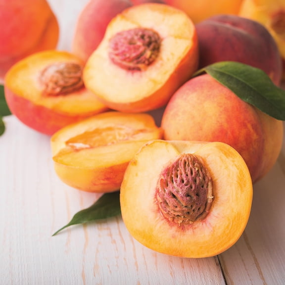 Van Zyverden Peach Tree Contender 1 Plant Root Stock Pink Full Sun Perennial Edible 4 lbs