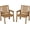 Brown, variant on EliteEdge Set of 2 23.9" Wide HDPE Patio Dining Chairs, 650LBS Capacity All-Weather Armchairs with Slatted Seat, Heavy Duty Modern for Garden, Poolside, Deck,Black