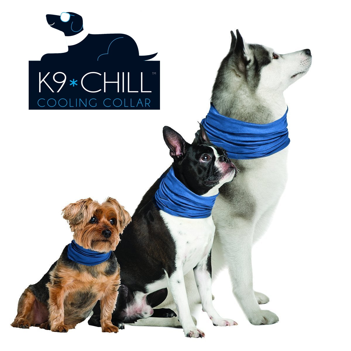 K9 Chill Dog Cooling Collar