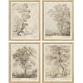 thumbnail image 2 of PixonSign Framed Wall Art Sketch Antique Tree Vintage Landscape Prints, Set of 4 Nature Wilderness Paintings, Minimalism Wall Décor, Adhesive Canvas Poster for Home Decor - 11"x14" Natural, 2 of 5