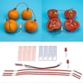 thumbnail image 4 of 4pcs Children Diy Homemade Fruit Battery Power Educational Electricity Generating Experiment Banmo, 4 of 5