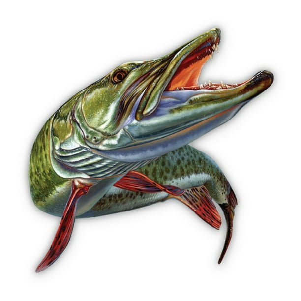 Muskie Fishing 12" Vinyl Sticker Waterproof Decal