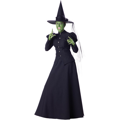 Witch Adult Halloween Costume