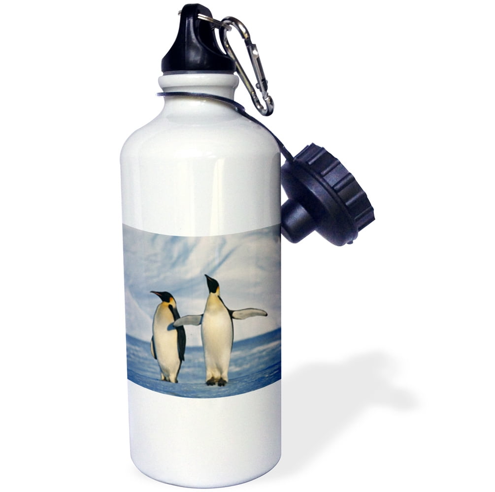 3dRose Antarctica, Emperor Penguins standing in winter , Sports Water Bottle, 21oz by Supplier Generic