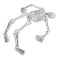 thumbnail image 4 of Shisuyan 1 Bag of Skeleton Handmade Science Kit Education Science Kit Human Skeleton Cognitive Material, 4 of 8