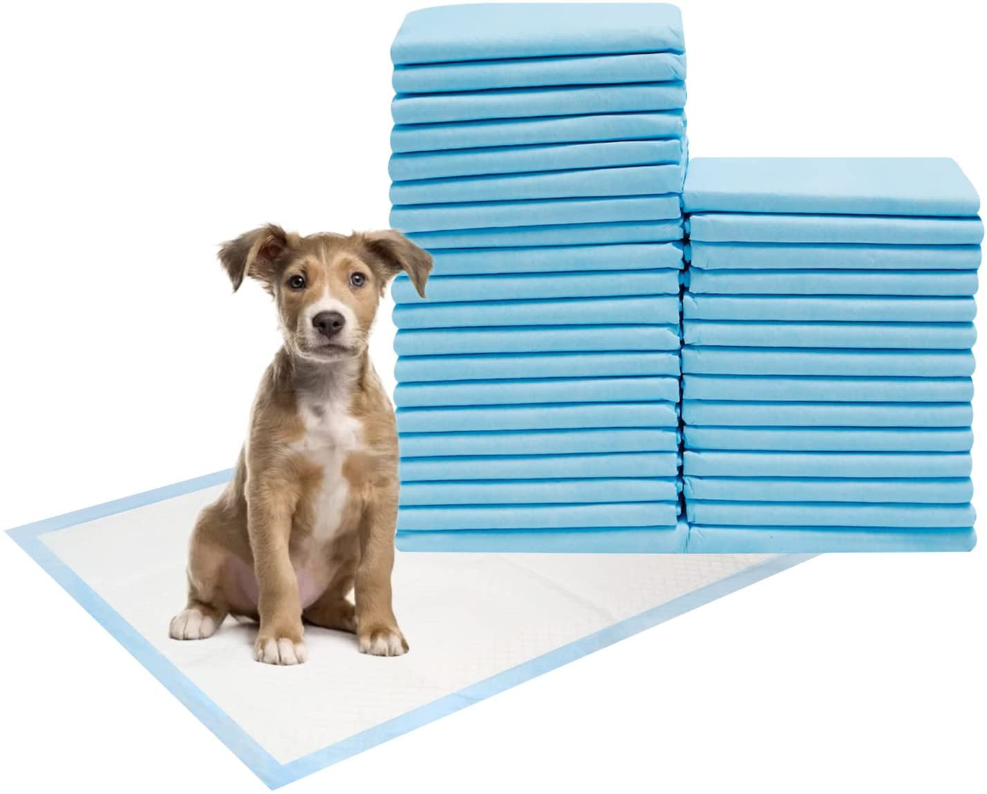 Protection Training Potty Pee Pads Diaper for Dog Pet Puppy Regular & Heavy Duty 