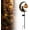 Pumpkin&Cat 1PC, variant on Solar Halloween Cat & Pumpkin Garden Light, Waterproof LED Moon Stake Decor, Outdoor Yard Light for Patio Lawn Pathway