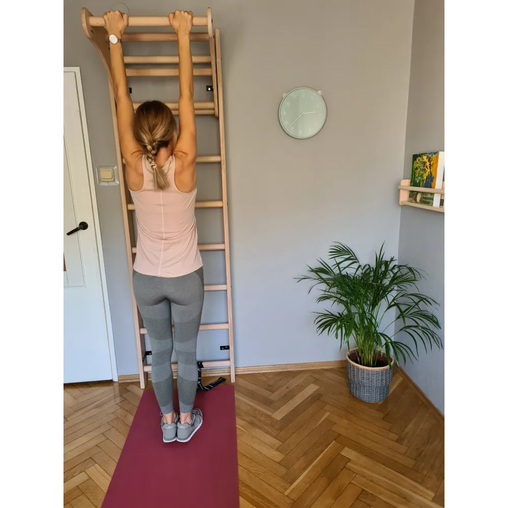 BenchK 111 Wall bars with adjustable pull-up bar