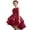 B5/Wine, variant on JCCXIN Fashion Girls Dress Puffy Gown Sleeveless Gown With Train For Pageant Performance Recital Party Wedding Classic 3-4 Years