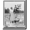 thumbnail image 2 of Historic Framed Print, [Woman, full-length portrait, standing in field, facing front, holding tobacco leaf, in Washington, D.C. area(?)], 17-7/8" x 21-7/8", 2 of 9
