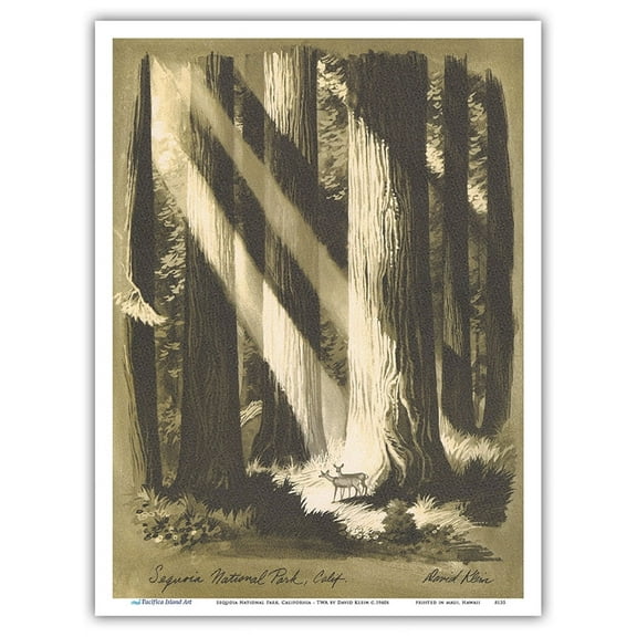 Sequoia National Park California - Giant Sequoia Trees - Vintage Travel Poster by David Klein c.1960s - Master Art Print (Unframed) 9in x 12in
