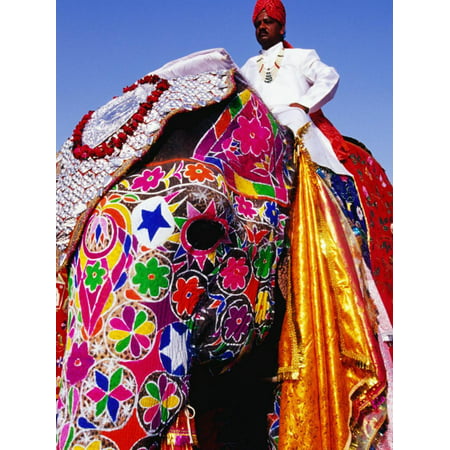 Entrant in Best Dressed Elephant Competition at Annual Elephant Festival, Jaipur, India Print Wall Art By Paul (Best Taps In India)