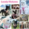 thumbnail image 6 of Soft Small Dog Harness and Leash Set Mesh Puppy Harnesses Leash Easy Walk Dog Harness Vest Adjustable Reflective No Pull Dog Harnesses for Small Dogs Cats, 6 of 7