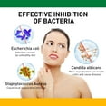 gabapentin itching dogs